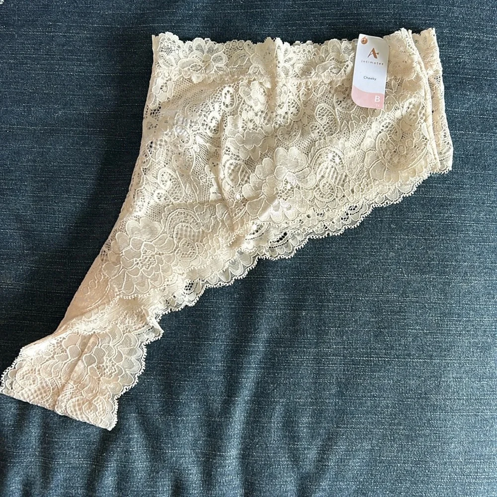 NWT Arula stretch lace cheeky panty, Arula size B, 2X